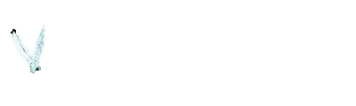 vallardo_signature_gif_700ms_transparent.gif