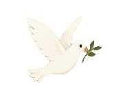 colombe.gif
