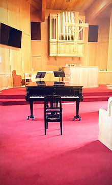 Red Carpet Concert.jpg