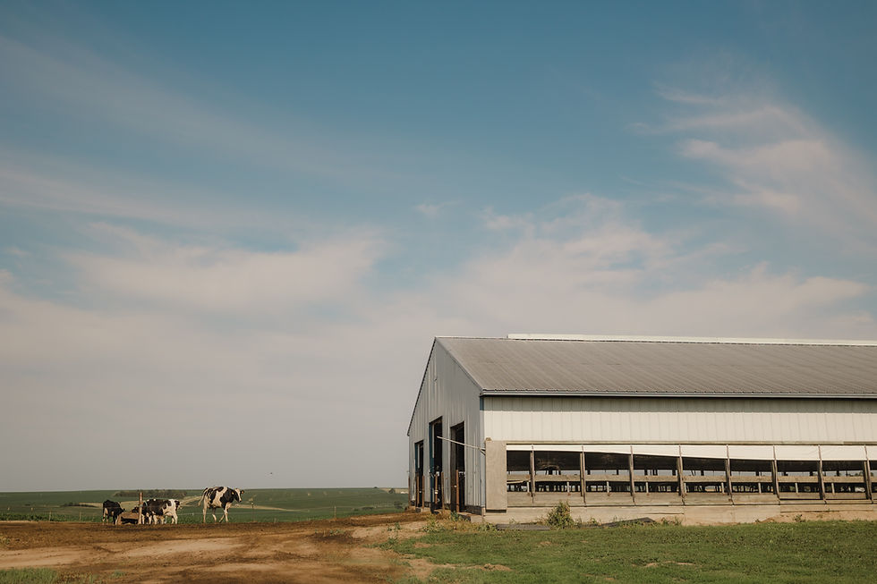 Burbach's 20-Year Farm Picnic