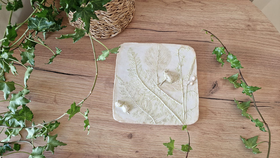 Miniatyrbild: Handgjord väggdekoration botanisk gipsrelief – Naturens avtryck. En unik handgjord gipsrelief med bladmotiv