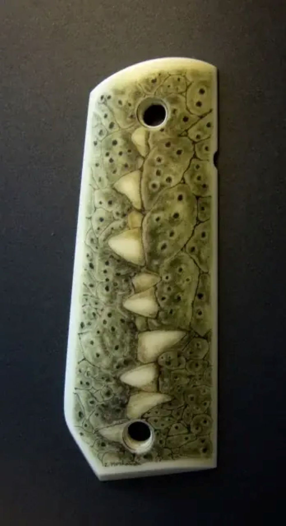 aligator