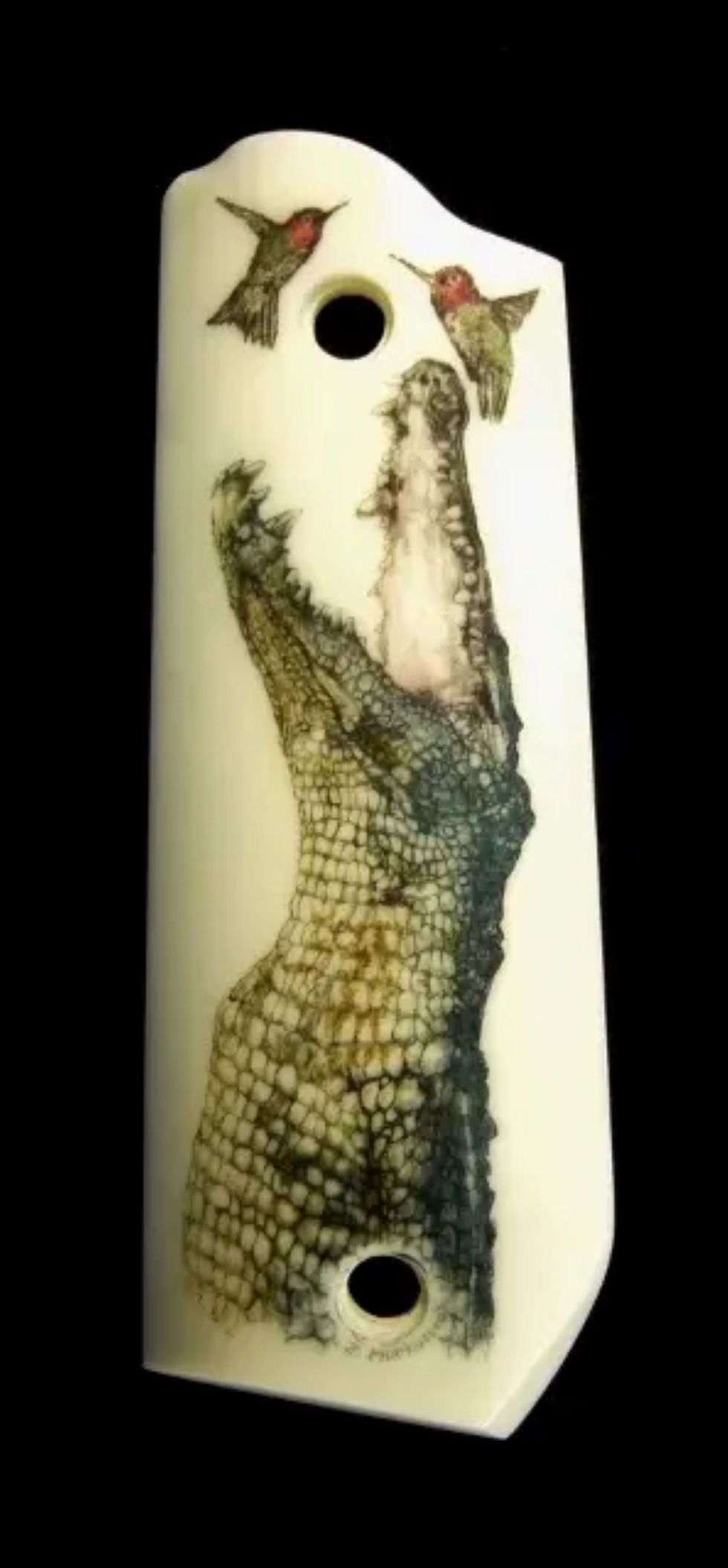 aligator