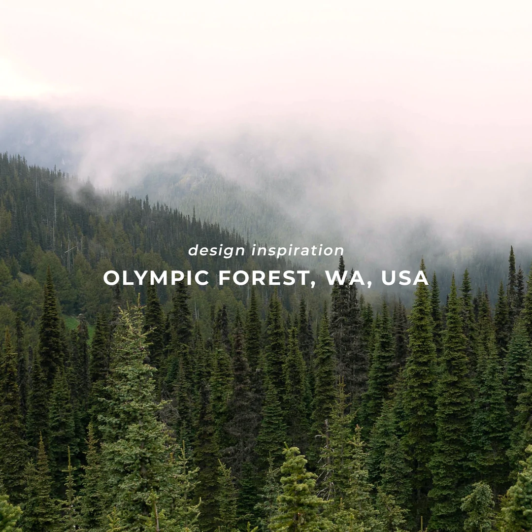 fading-forest-hoodie-organic-sweatshirt-happy-earth-apparel-628456_1080x.webp