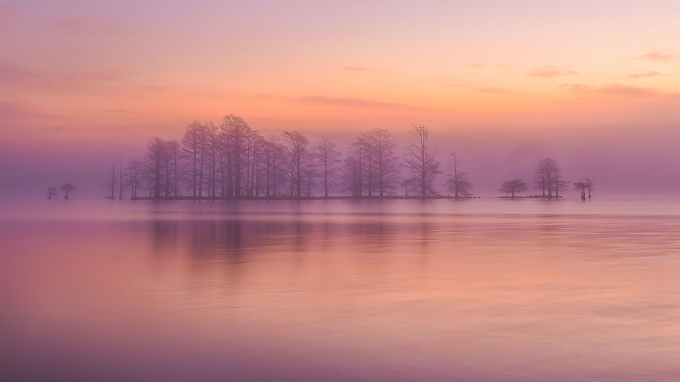 Foggy Morning at Lake Mattamuskeet