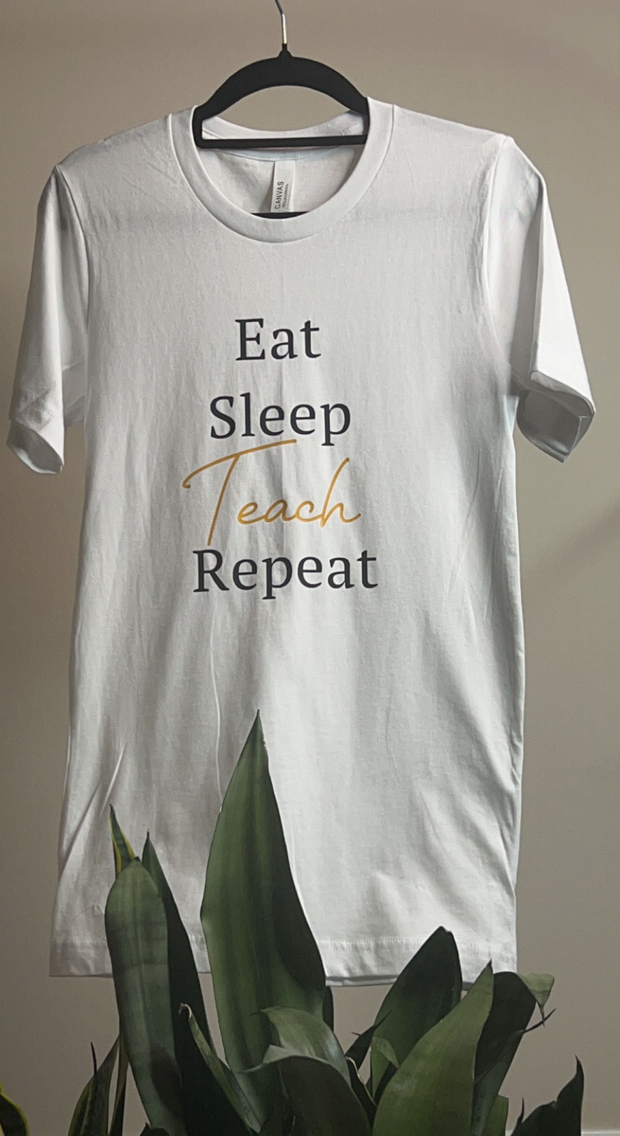 Teach and Repeat