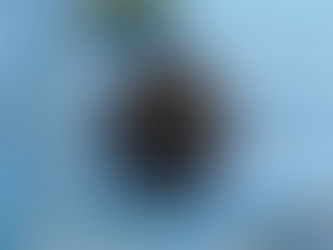 スイッチの交換