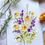 Thumbnail: Buch of wildflowers