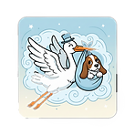 Gemini_Generated_Image_y4hqzhy4hqzhy4hq_