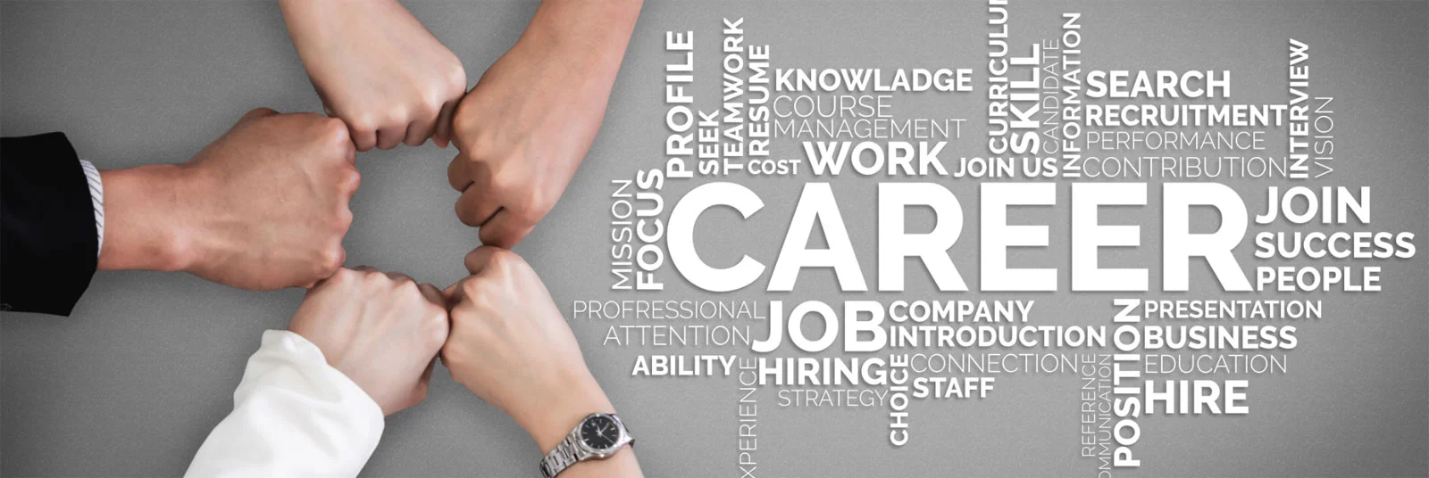 Career-Life-Cycle.jpg.webp