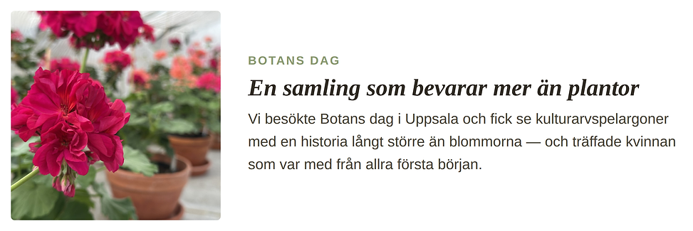 Teaser - Botans dag.png