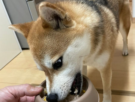 忘れておりました。