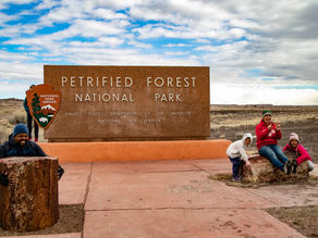 Petrified Forest National Park