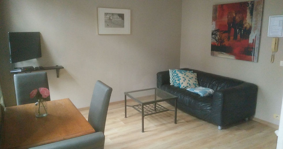 LS1 - 1 bedroom - €1085 euro/month - from 08/09