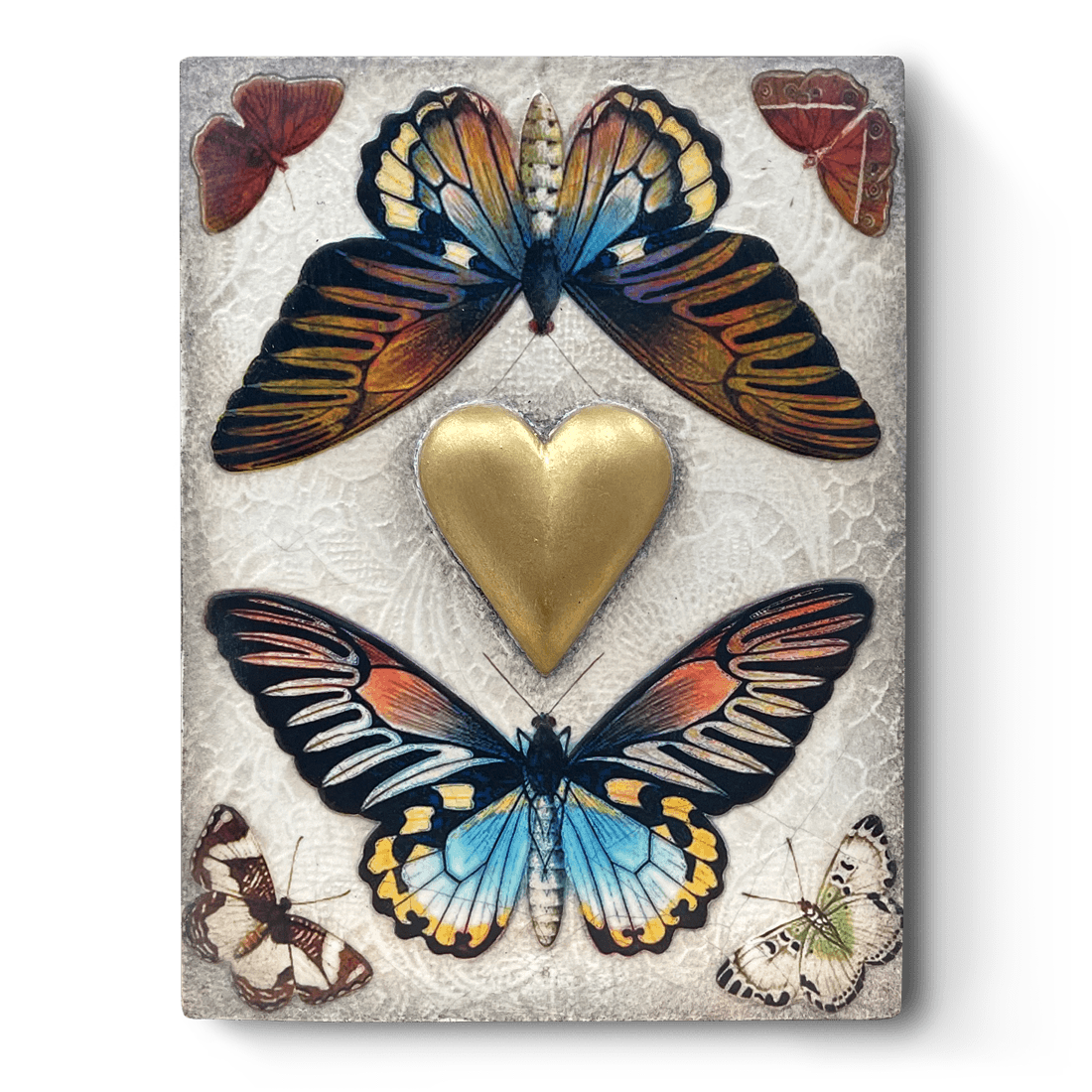 Sid Dickens 'Passion' T 530