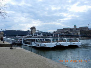 Budapest, Birds, and More