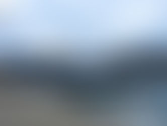 Budapest, Birds, and More