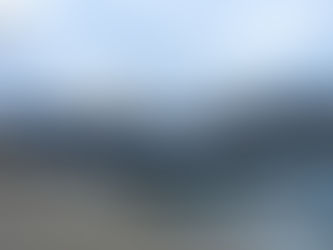 Budapest, Birds, and More