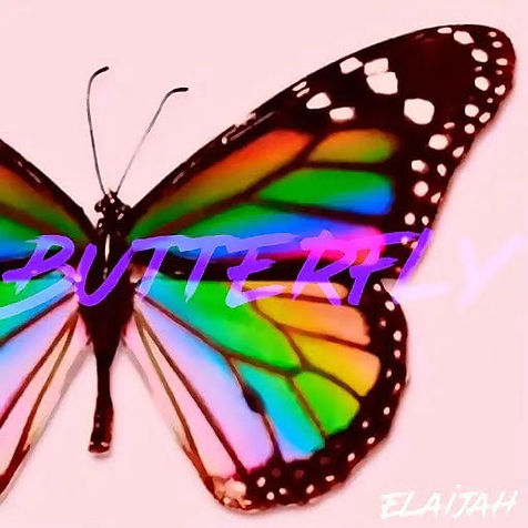 Butterfly.jpg