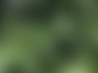 Documentales que exploran el mundo del cannabis: entre ciencia, sociedad y política