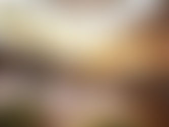 Já ouviu falar no PERSE?