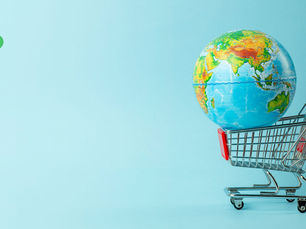 Setor de Compras: Uma visão global da área