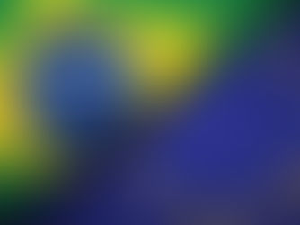 Critérios na nova lei antidesmatamento da UE, viram barreiras para relações transacionais ao Brasil