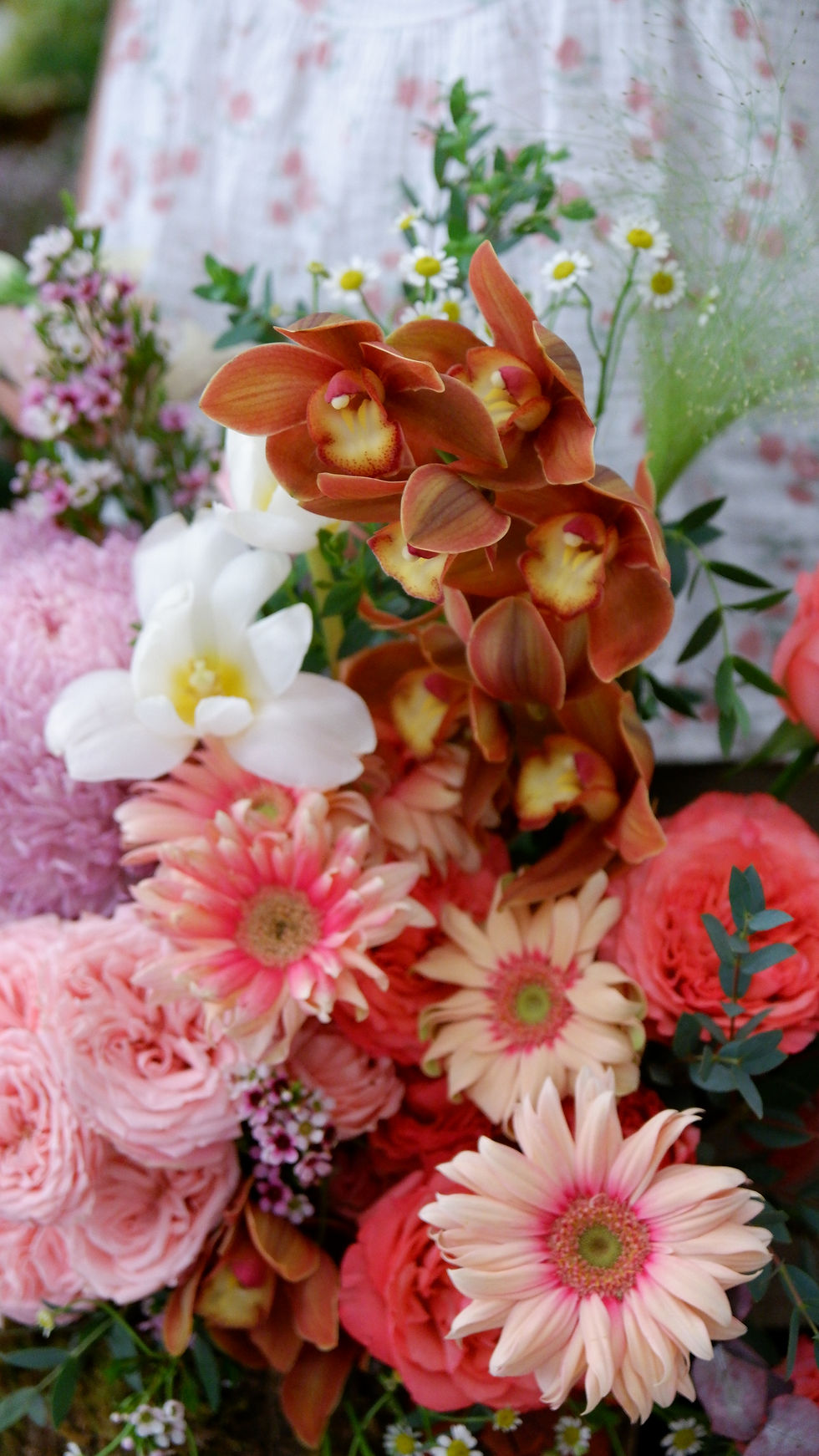 Thumbnail: Autumn's Embrace