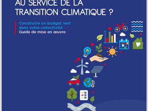 Le budget vert, un outil d'analyse au service de la transition climatique?