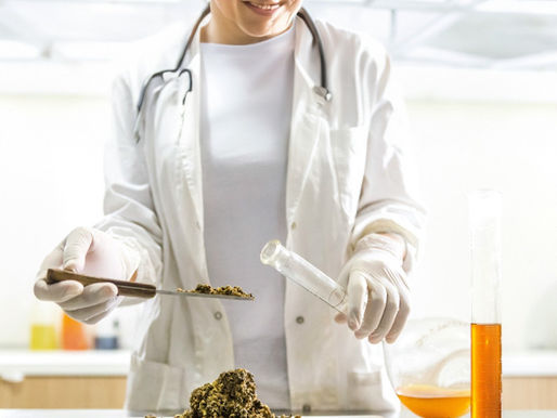 Queen’s Hivestore – Une Apiculture Douce, Authentique et Engagée