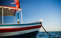 Boats Rental