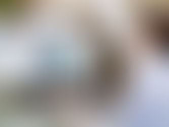 Operacional com a FastBuilt