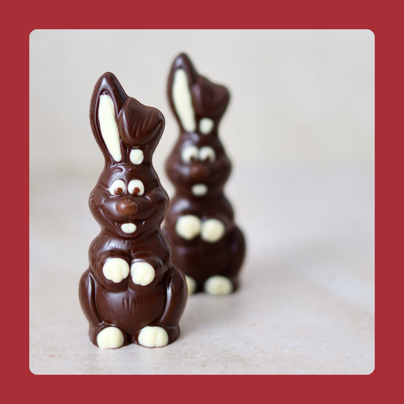 Lachende konijntjes - ingekleurd - puur - 2 stuks