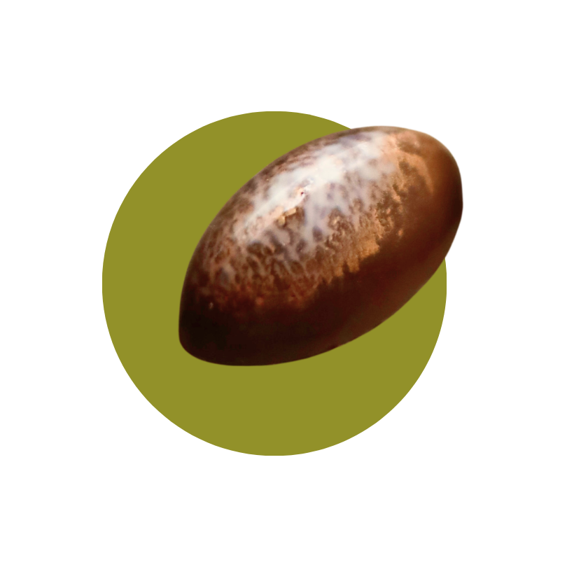 Untitled design (52).png
