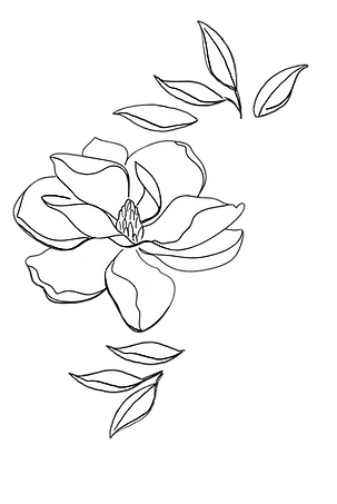 Magnolia Flowers.png