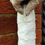 Thumbnail: Eli-Wrap Pipe Repair Bandage