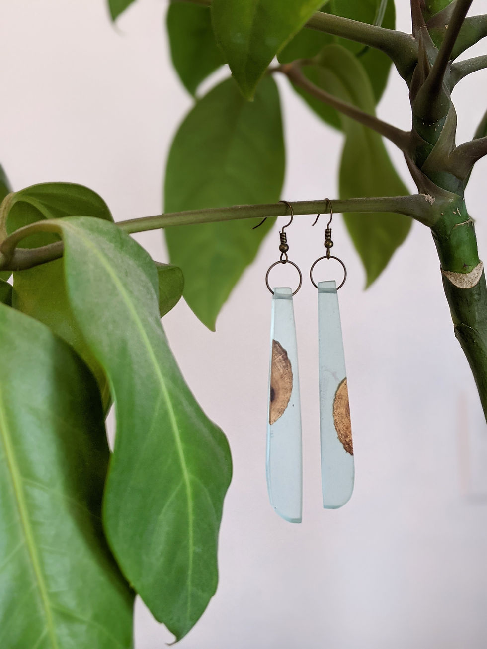 Thumbnail: Resin and wood Earrings