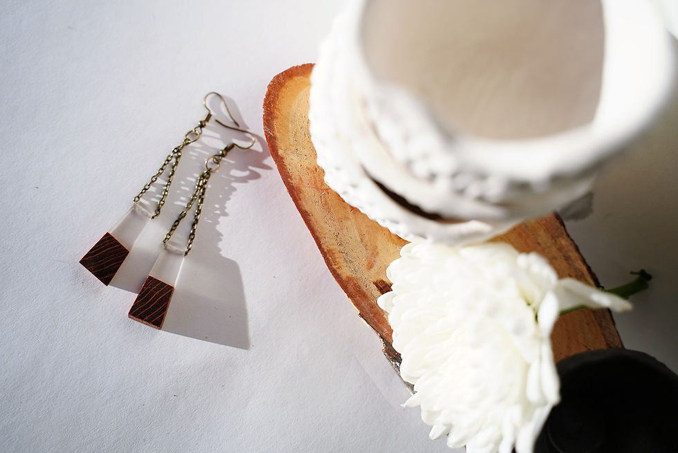 Thumbnail: Clear resin and wood earrings
