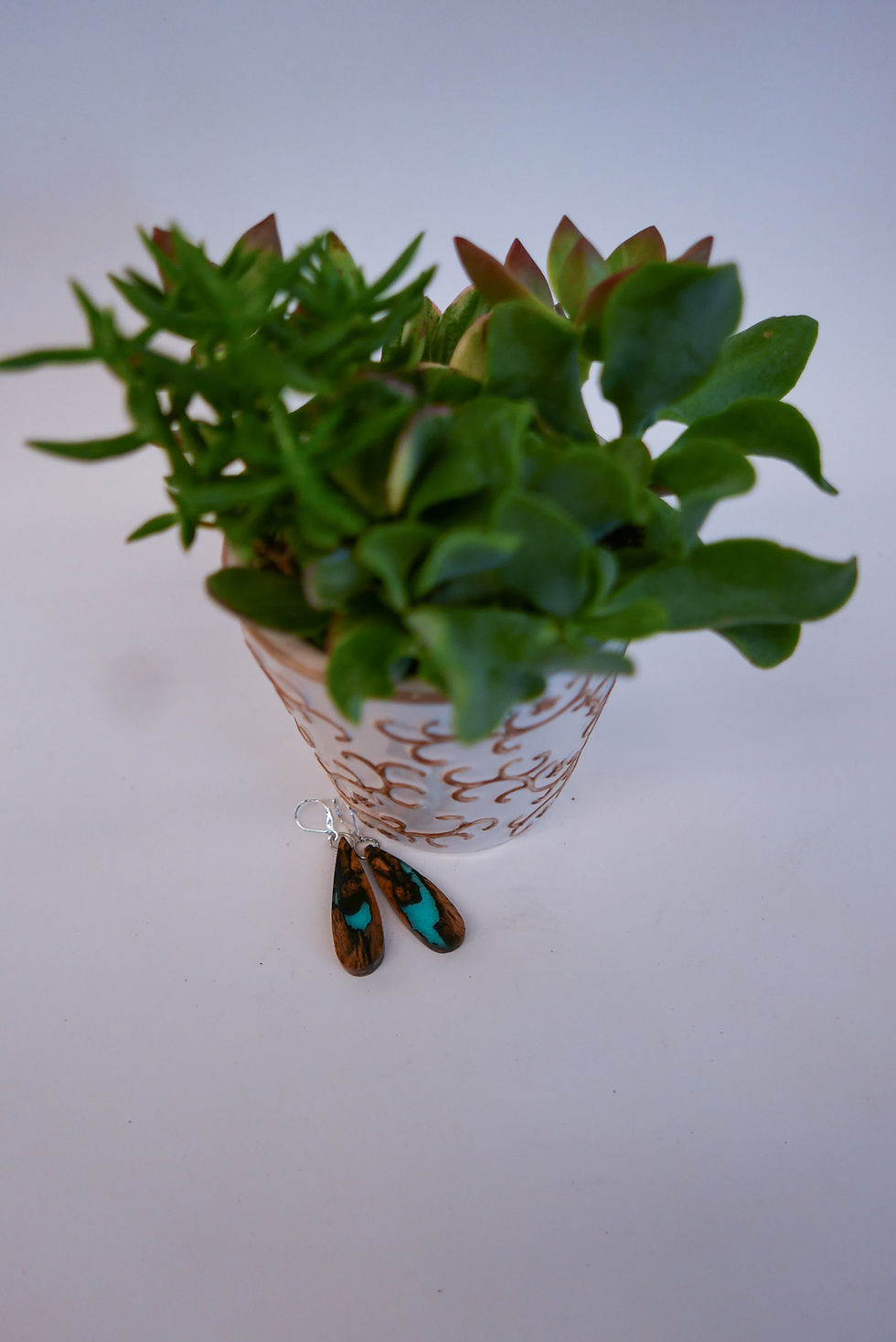 Thumbnail: Resin and Wood Earrings