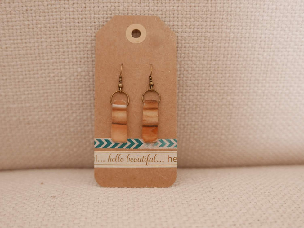 Thumbnail: Resin and Wood Earrings