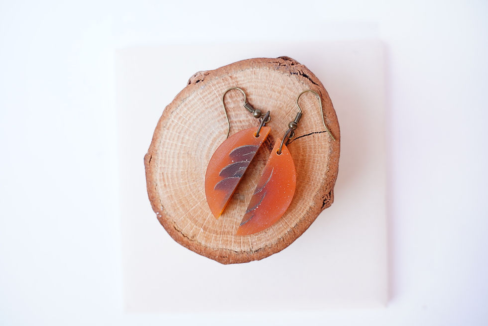 Thumbnail: Resin and wood Earrings