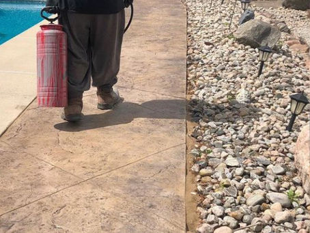 Sealing Services: What to Expect & Understanding the Cost