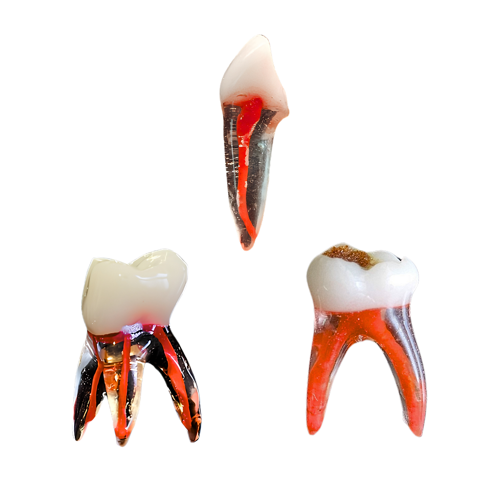 Miniatura: Kit Odontopediatria - UNIVEL