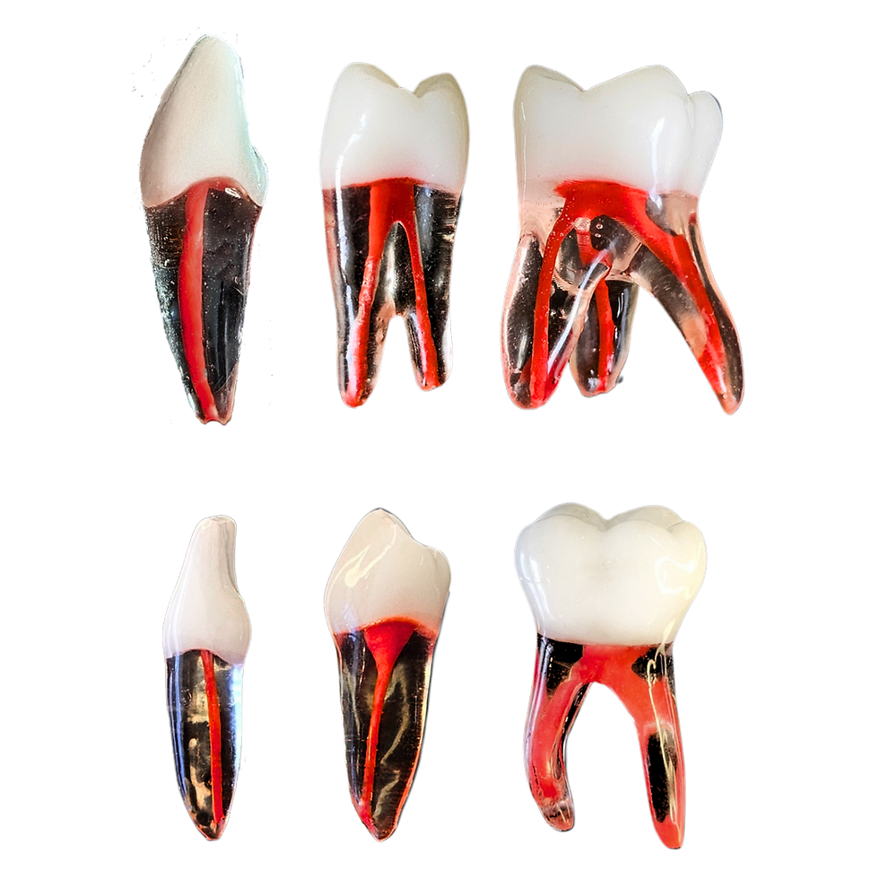 Miniatura: Kit Endodontia Universo - Gyn  Profa. Tamiris Carolina