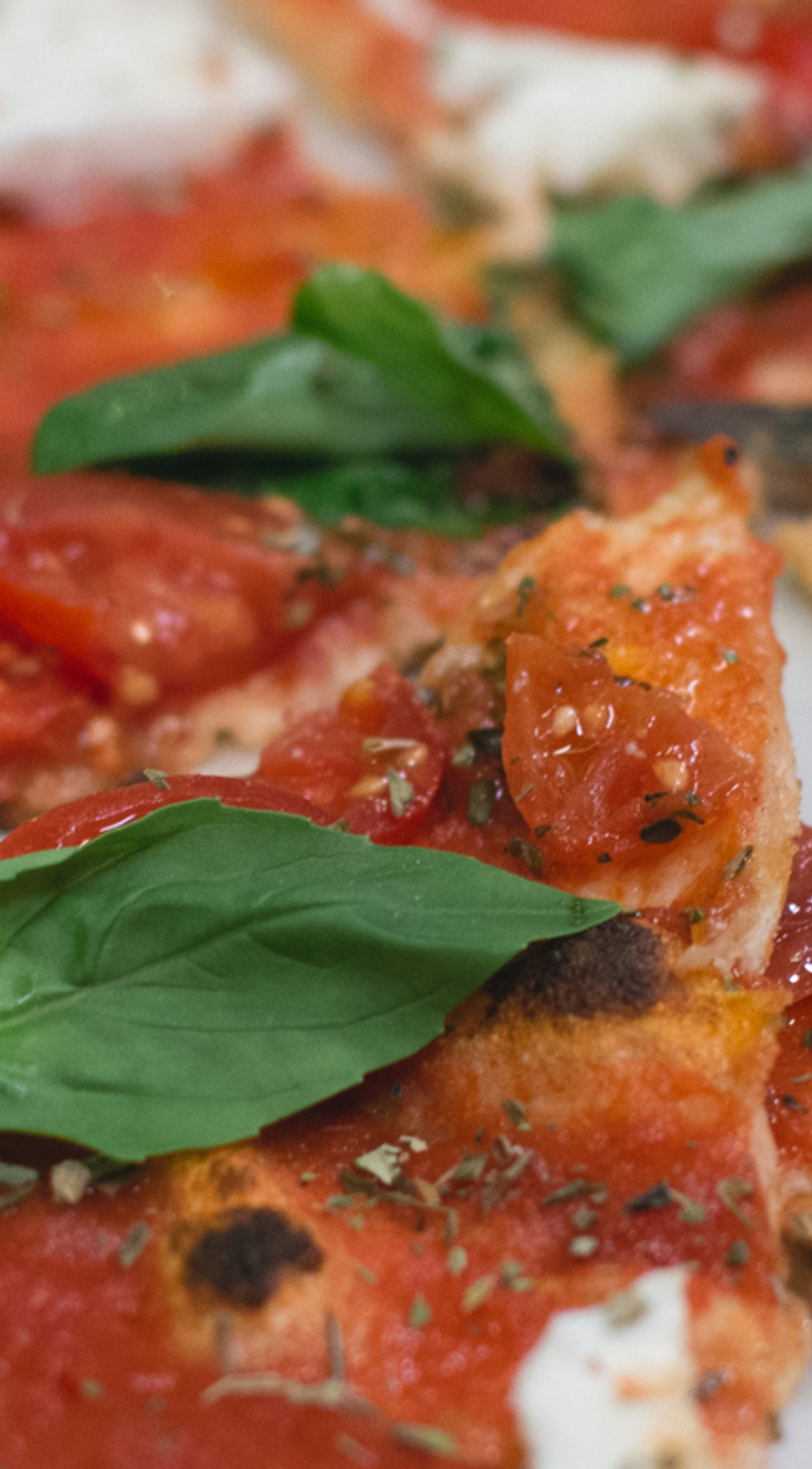 Pizza Margherita