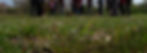 DSC05039_edited.jpg