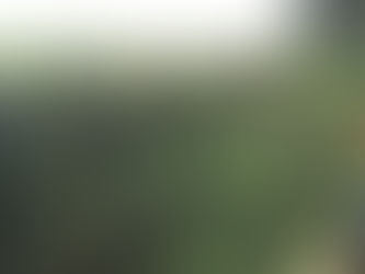 Landscape of the Lark Festival