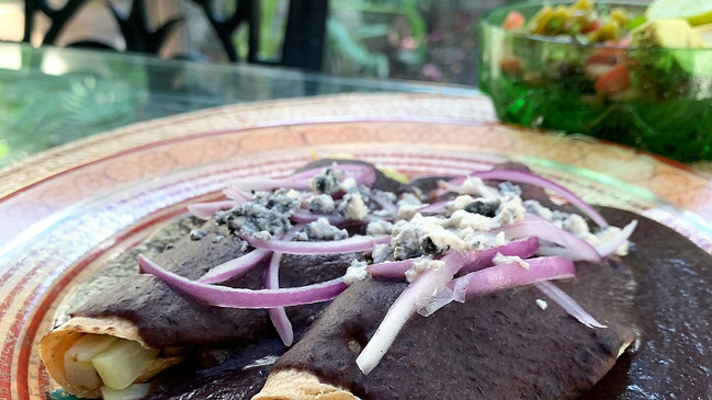 Enfrijoladas Veganas con Chayote