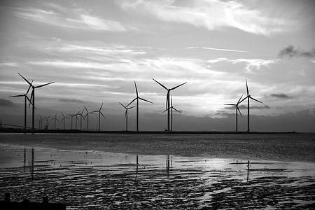 pexels-pixabay-532192_edited.jpg