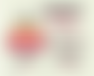 COSAS QUE LAS MUJERES ANDAMOS EN EL BOLSO.